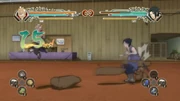 Rock Mat
