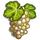 Riesling-icon