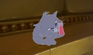 Yzma 127