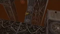 Encountering a Queen Scissors in the Field.jpg