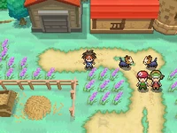Sagi Ranch