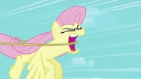 Fluttershy 'Meanie!' S2E02