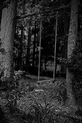 Swing