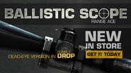 Ballistic highlight