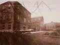 Geiser.jpg