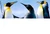Pinguinos