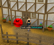 Potted Plant