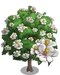 Southern Magnolia Tree-icon