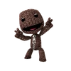 Sackboy