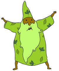 Wizard1