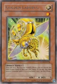 GoldenLadybug-LODT-EN-R-UE