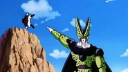 Images (36)