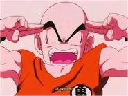 Gffgdsdfsfg