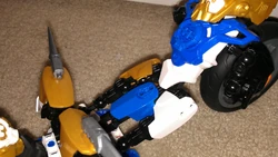 Lionesscycle Back