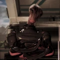 Lt. Tolan.png