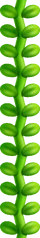 Beanstalk NSMB2