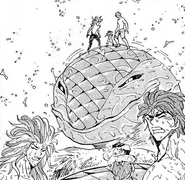 Toriko and the rest reach Death Falls