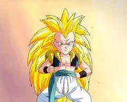 Gotenkssj306