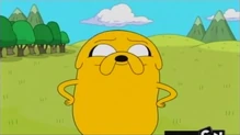 Jakeeee
