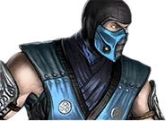 Ladder1Sub-Zero