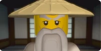 Sensei Wu Close-Up