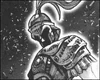 Aquiles gal
