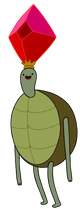 Mr. Turtle