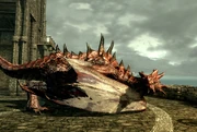 Dragonss