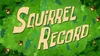 Squirrel Record