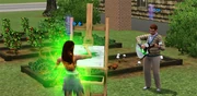 P4AuraOfCreativity