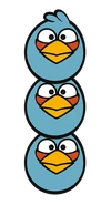 Blue birds