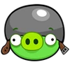Helmet pig