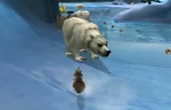 Bear
