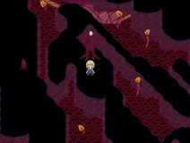 RedSea Usosuki revisited
