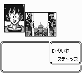 Dragon Ball Z Goku Hishōden (3)