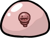 Blastocyst large