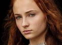 Sansa Portal
