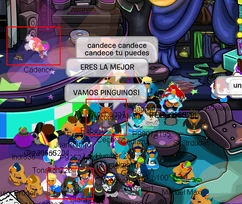 Cadence Rocky CeCe Spotted