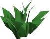 Green herb detail
