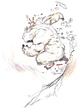 Amano Umaro