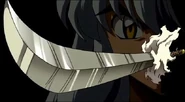 Tessaiga Sword