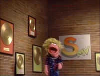 SMVintro
