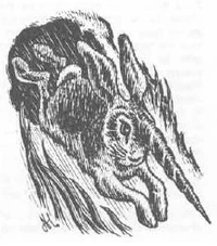 Al-mi'raj