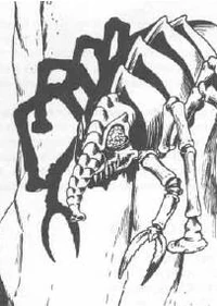 Cave fisher