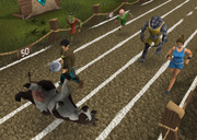 The COW!!?