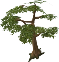 Green tree