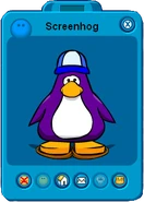 Screenhog-player-card