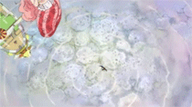 Rokushiki Sky_walk