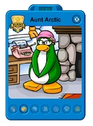 Aunt Arctic Playercard