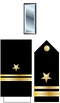 Slt Insignia (STN)